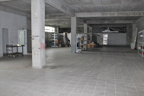 Готовый бизнес 900м² в Катерини, Греция №58945 8