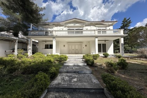 660m² Villa à Oraiokastro, Greece No. 54766 1