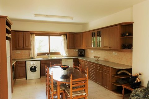 Apartamento tipo estudio Estudio en Paphos, Cyprus No. 51445 10