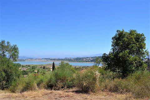 4343m² Land en Corfu, Greece No. 57062 7