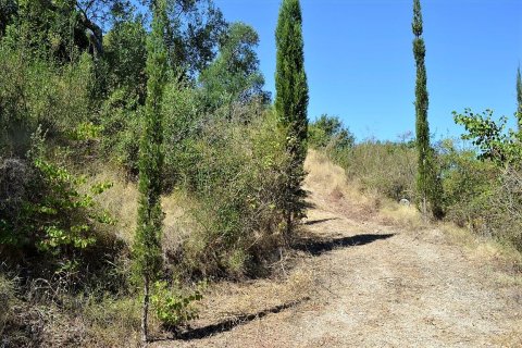 4343m² Land in Corfu, Greece No. 57062 5