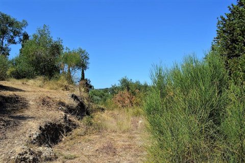 4343m² Land à Corfu, Greece No. 57062 6