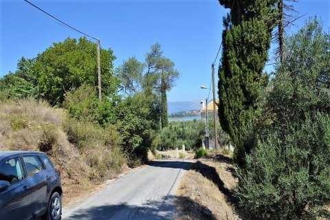 4343m² Land in Corfu, Greece No. 57062 12