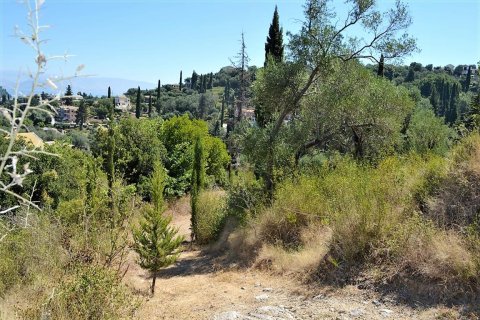 4343m² Land in Corfu, Greece No. 57062 9