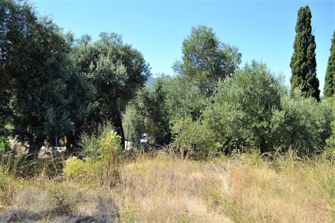 4343m² Land en Corfu, Greece No. 57062 8