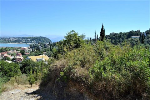 4343m² Land en Corfu, Greece No. 57062 10