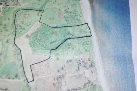 53000m² Land en Chalkidiki, Greece No. 57886 1