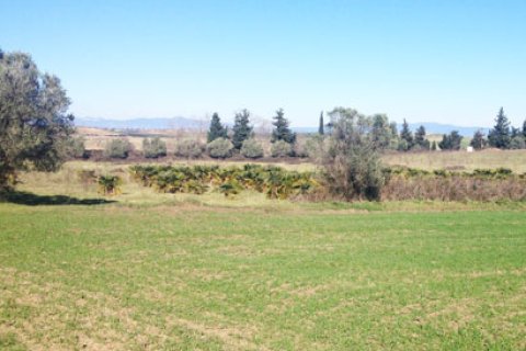 30100m² Land en Chalkidiki, Greece No. 60650 2