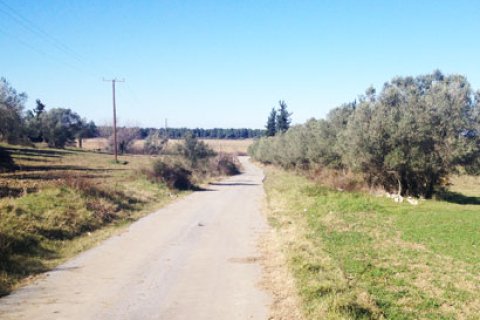 30100m² Land in Chalkidiki, Greece No. 60650 1