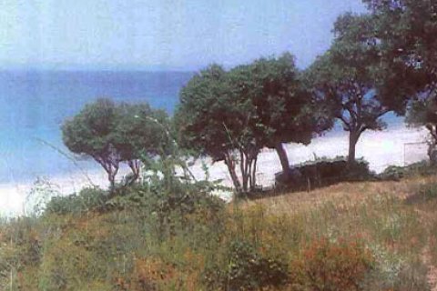 5080m² Land in Chalkidiki, Greece No. 60646 1