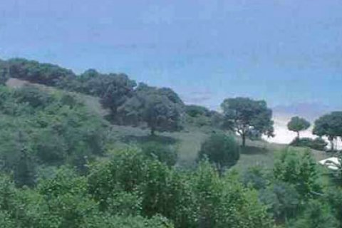 5080m² Land en Chalkidiki, Greece No. 60646 2