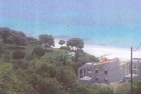 5080m² Land in Chalkidiki, Greece No. 60646 3