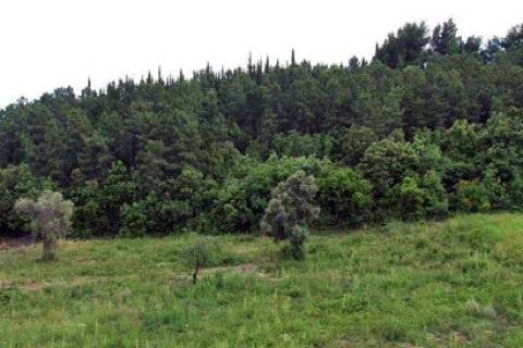 3524m² Land en Chalkidiki, Greece No. 60648 3