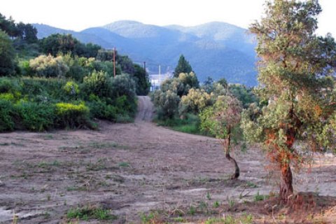 3524m² Land en Chalkidiki, Greece No. 60648 2