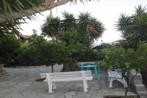 800m² Hotel à Chalkidiki, Greece No. 60647 16