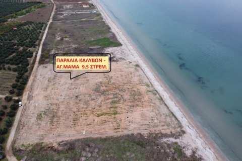 9500m² Land in Polygyros, Greece No. 54507 1