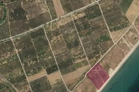 9500m² Land in Polygyros, Greece No. 54507 2