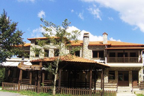 743m² Business in Pieria, Greece No. 60525 2