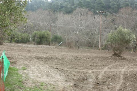 4789m² Land in Chalkidiki, Greece No. 60526 4