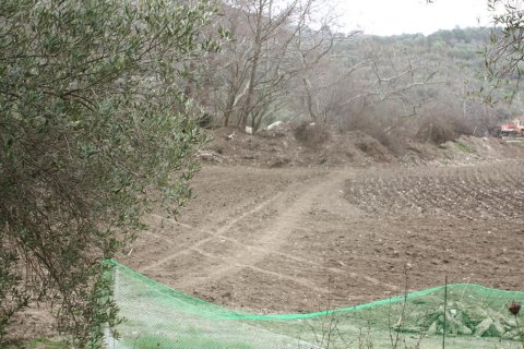 4789m² Land in Chalkidiki, Greece No. 60526 3