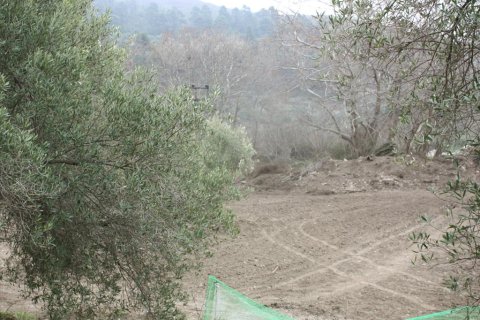 4789m² Land in Chalkidiki, Greece No. 60526 2