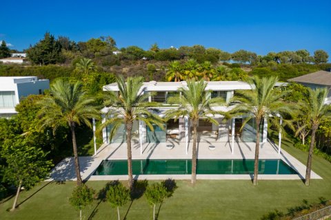 6 chambres Villa à Casares, Spain No. 90666 5
