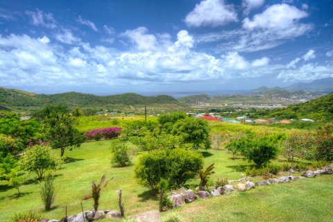 5 chambres Villa à Saint Peter's, Saint Kitts and Nevis No. 61500 18