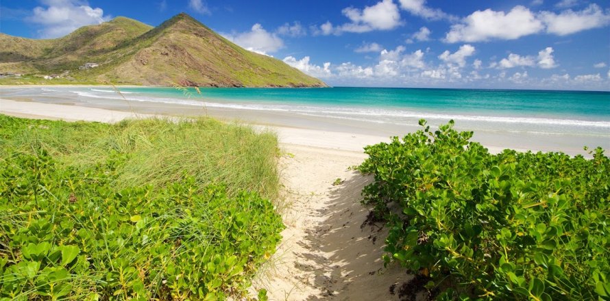 8850.48m² Land à Saint George Basseterre, Saint Kitts and Nevis No. 61501