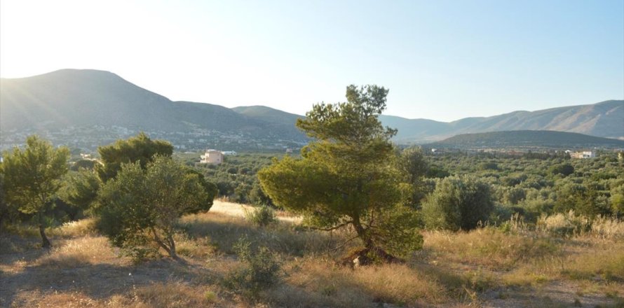 12600m² Land in Palaia Fokaia, Greece No. 58666