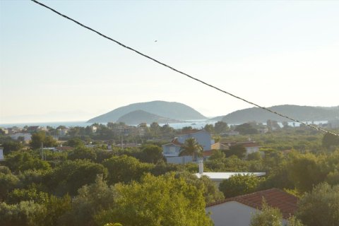 12600m² Land à Palaia Fokaia, Greece No. 58666 2