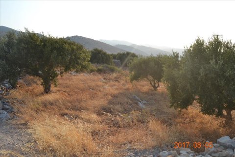 3000m² Land in Agios Nikolaos, Greece No. 58563 4