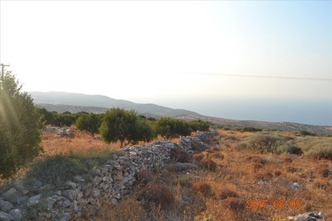 3000m² Land in Agios Nikolaos, Greece No. 58563 1