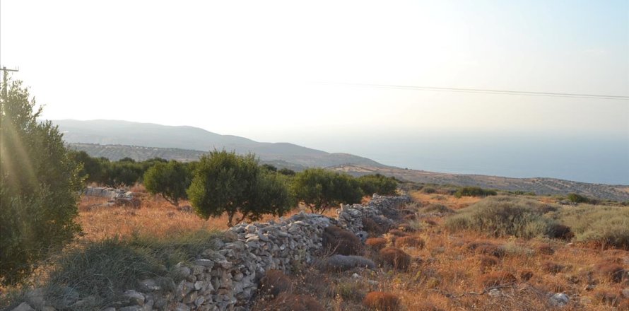 3000m² Land in Agios Nikolaos, Greece No. 58563