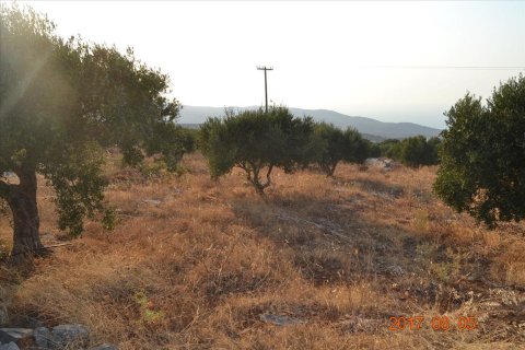 3000m² Land in Agios Nikolaos, Greece No. 58563 5