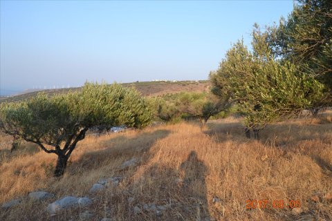 11000m² Land in Agios Nikolaos, Greece No. 58561 3