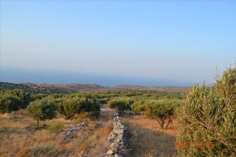 11000m² Land à Agios Nikolaos, Greece No. 58561 1