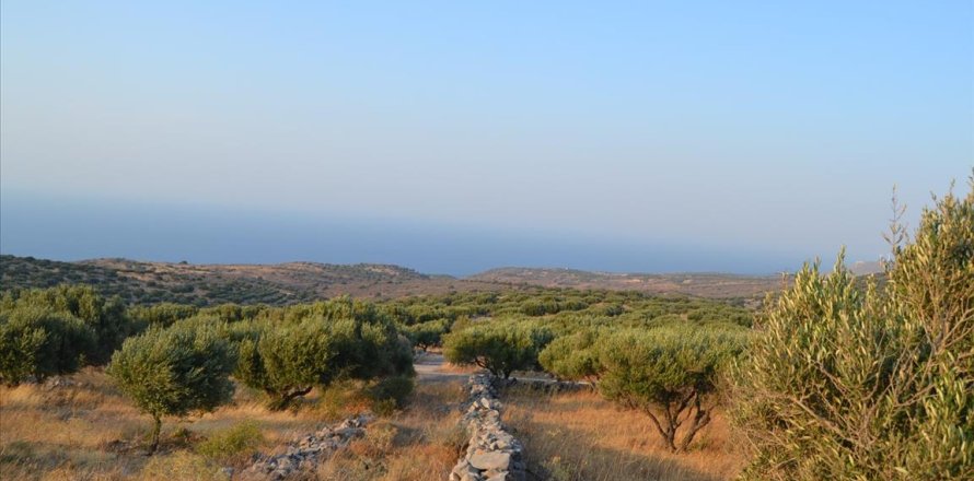 11000m² Land in Agios Nikolaos, Greece No. 58561