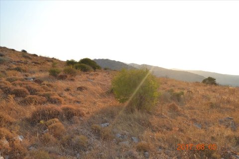 11000m² Land en Agios Nikolaos, Greece No. 58561 5