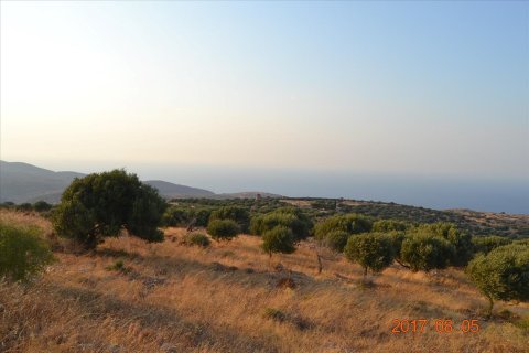 11000m² Land en Agios Nikolaos, Greece No. 58561 2