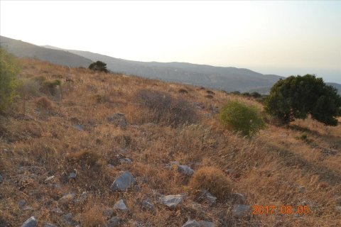 11000m² Land à Agios Nikolaos, Greece No. 58561 4