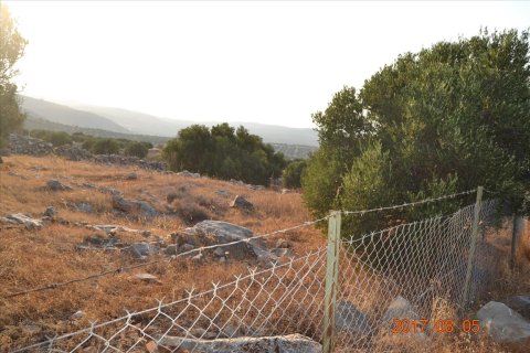 3000m² Land in Agios Nikolaos, Greece No. 58562 2