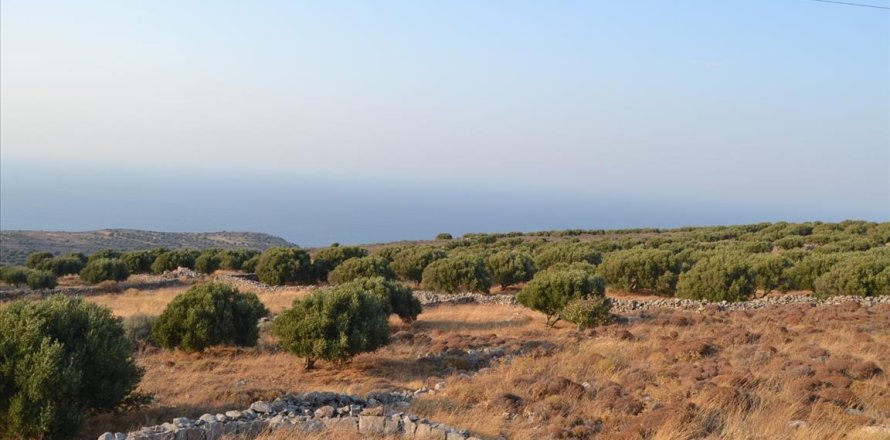 3000m² Land in Agios Nikolaos, Greece No. 58562