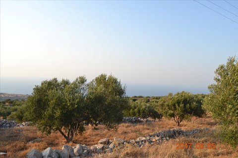 3000m² Land in Agios Nikolaos, Greece No. 58562 4