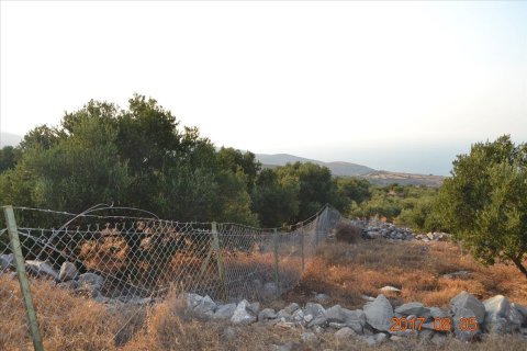 3000m² Land in Agios Nikolaos, Greece No. 58562 3