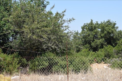 9300m² Land à Rethymno, Greece No. 58564 5