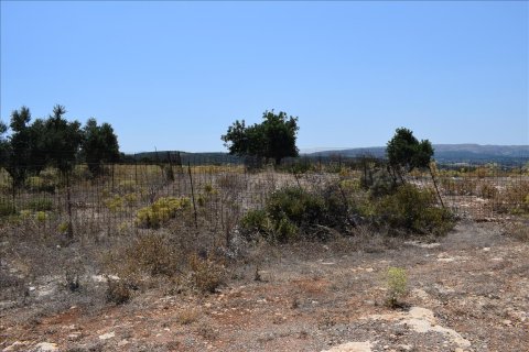 9300m² Land in Rethymno, Greece No. 58564 3