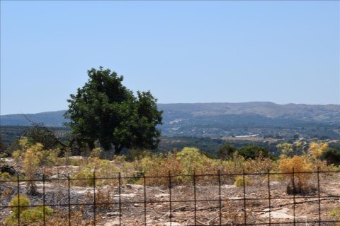 9300m² Land à Rethymno, Greece No. 58564 6