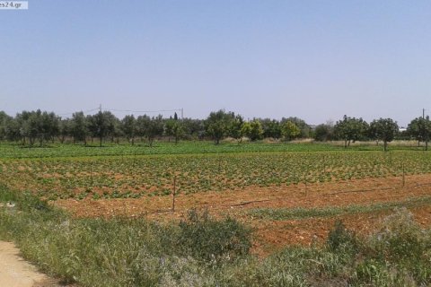 6500m² Land en Koropi, Greece No. 58333 1