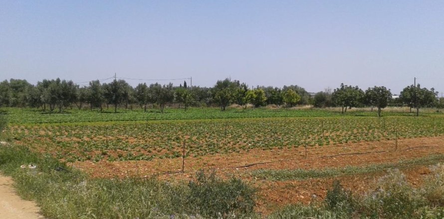 6500m² Land in Koropi, Greece No. 58333