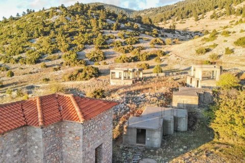 570m² Negocio en Boeotia, Greece No. 58337 2